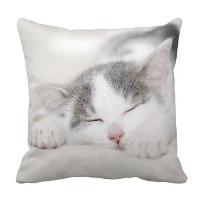 Poduszka KOT Novelty Cat Cushion pod-6185