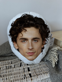 Timothée Chalamet poduszka przytulanka maskotka